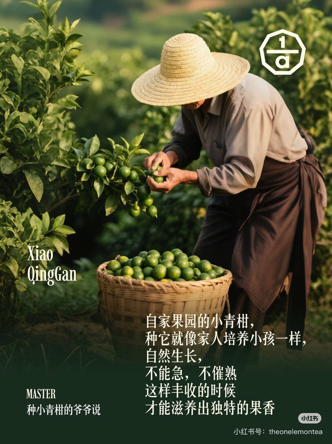 拒绝添加剂